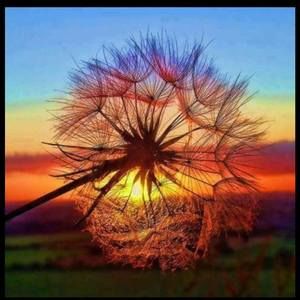 Meet your Posher, Salina